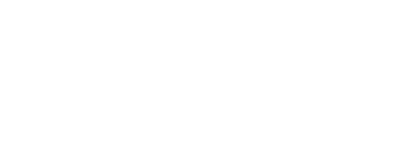 Logo Endokonsil